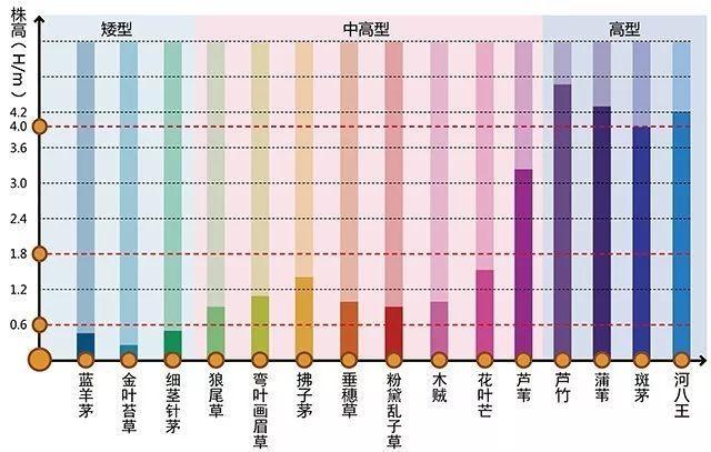 河南景觀設計行業設計植物需要注重的問題有哪些？